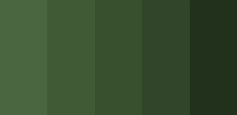 Forest Green Palette